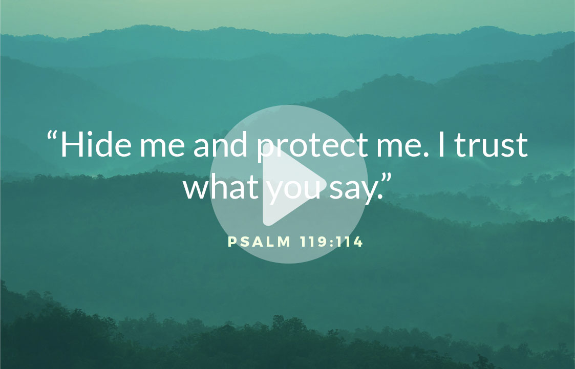 Psalm 119:114